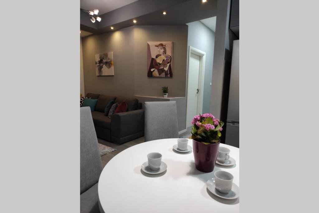 Centar One Apartmant 스코페 외부 사진