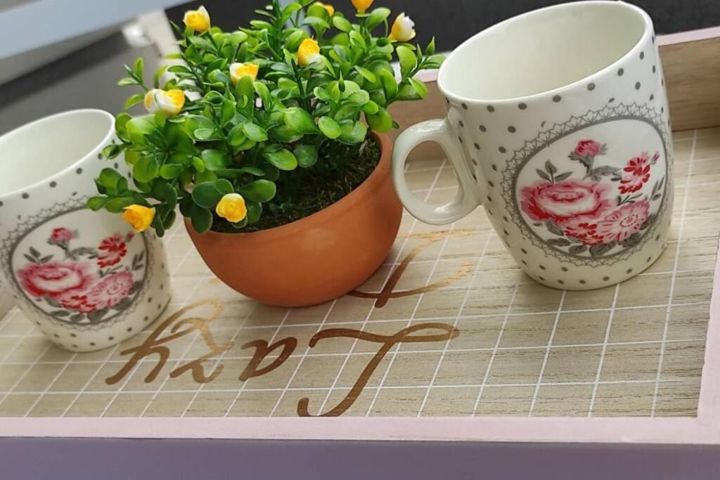 Centar One Apartmant 스코페 외부 사진
